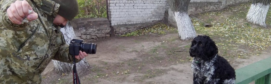 Херсонские границы охраняют собаки с львовским вышколом Херсонские границы охраняют собаки с львовским вышколом