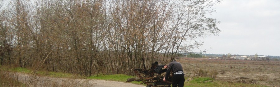 Селянин Херсонщины пошел по дрова