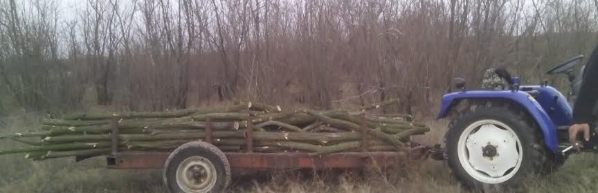 Мешканець Херсонщини, готуючись до зими, став об'єктом спільної операції силовиків Мешканець Херсонщини, готуючись до зими, став об'єктом спільної операції силовиків