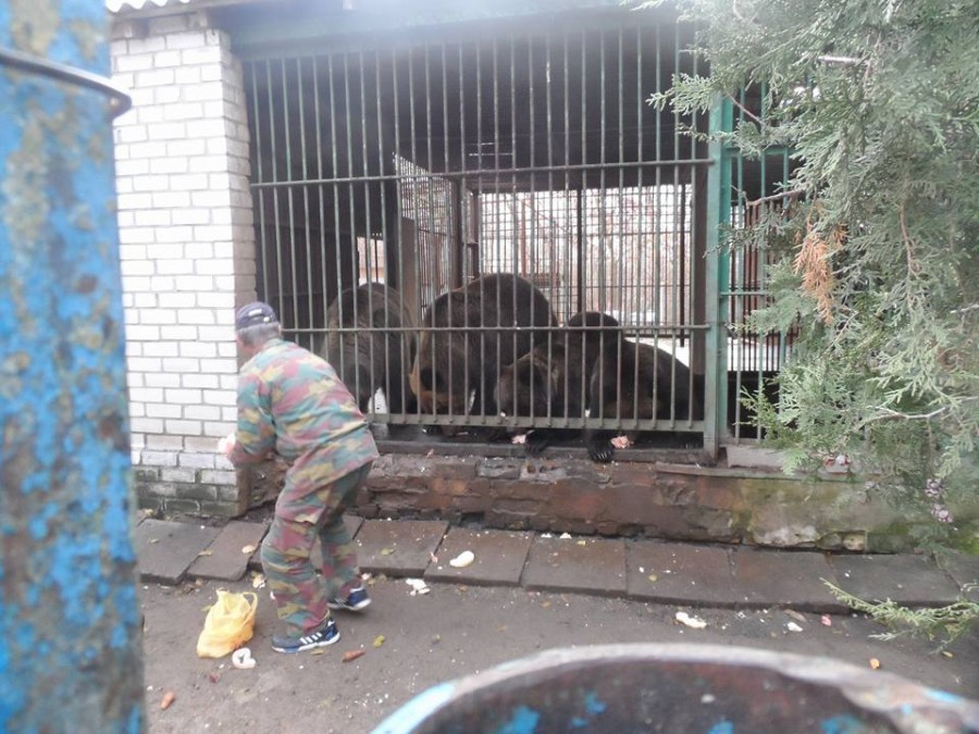 Херсонцы выбирают, нужен ли им зоопарк в Гидропарке (опрос) Херсонцы выбирают, нужен ли им зоопарк в Гидропарке (опрос)