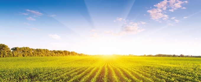 AgroChallenge сделал Музыковке выгодное предложение