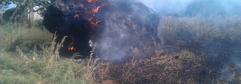 Не вберегли запаси кормів Не вберегли запаси кормів