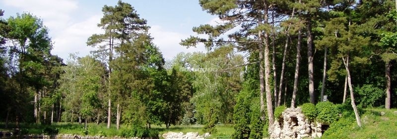 Вскоре немецкие ученые приступят к изучению Херсонской области «под лупой».