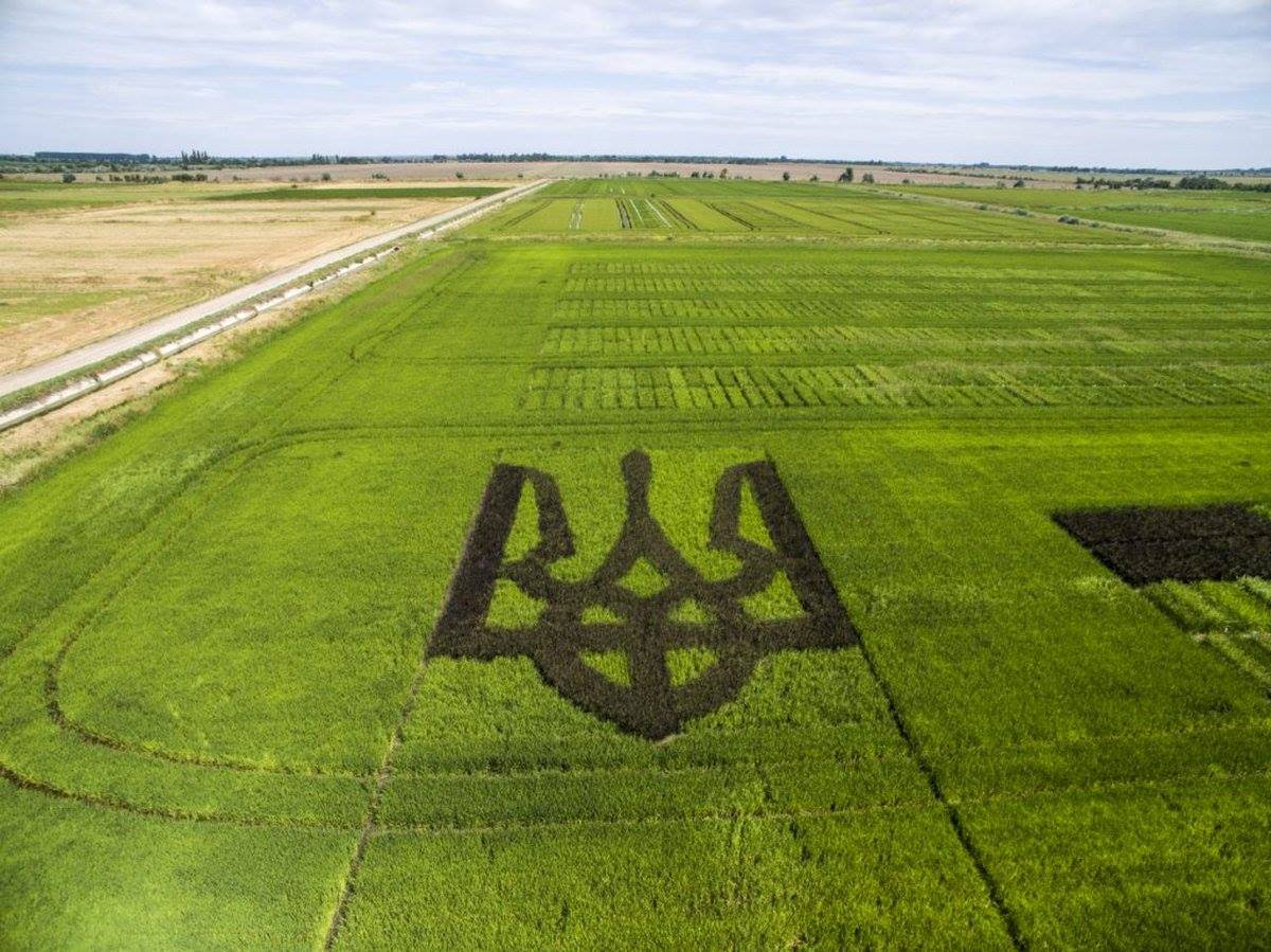Аграріїв Херсонщини переводять на загальну систему оподаткування.