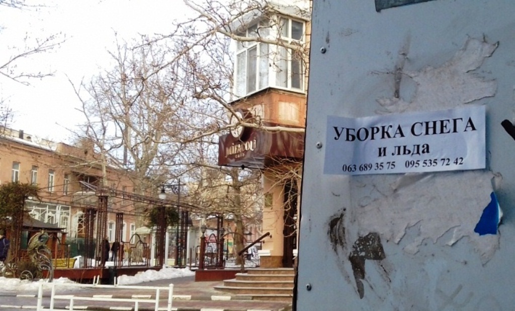 Предприимчивые херсонцы готовы помочь избавить город от 