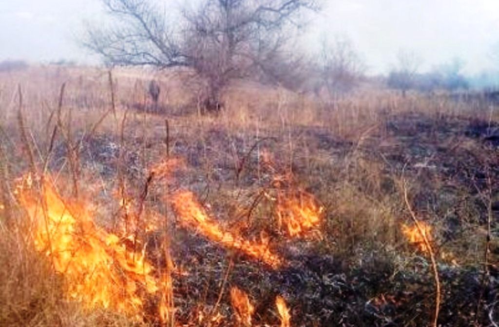 На Херсонщині сухо і сонячно   область палає