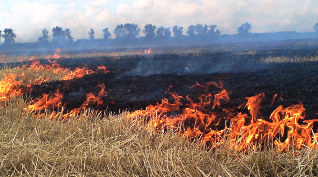 Поджог стерни на Херсонщине спровоцировал аварию с пострадавшими