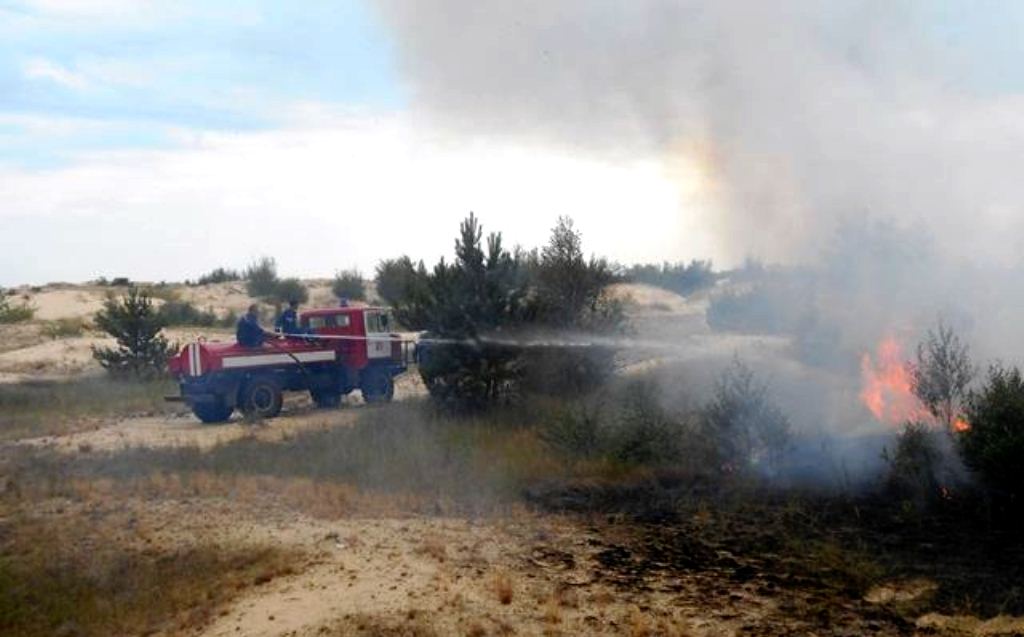 В Олешківському лісі знову займання - повідомляє ДСНС Херсонщини