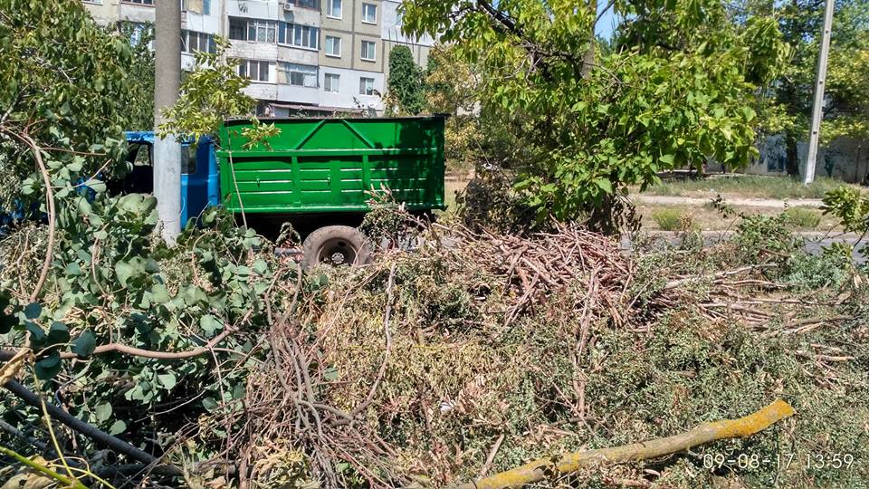 Херсонцам подсказали, куда жаловаться на тех, кто загрязняет город Херсонцам подсказали, куда жаловаться на тех, кто загрязняет город