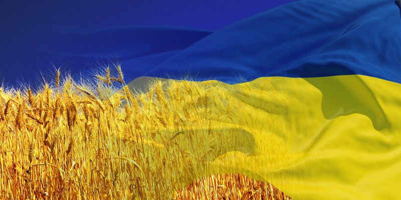 Херсонський музей ім. Шовкуненка запрошує на нову експозицію, а от АртХаб - на сенсацію Херсонський музей ім. Шовкуненка запрошує на нову експозицію, а от АртХаб - на сенсацію