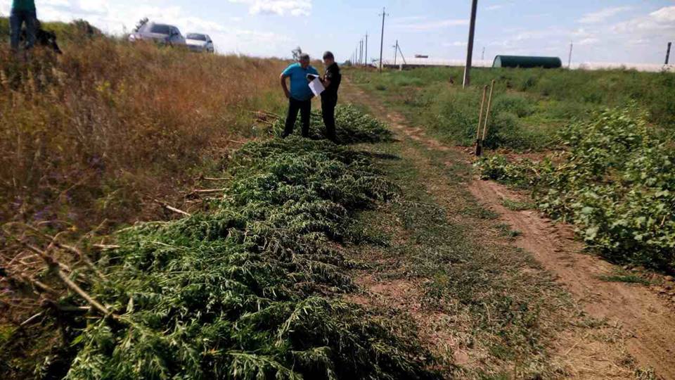 На Херсонщині знайдений новий 