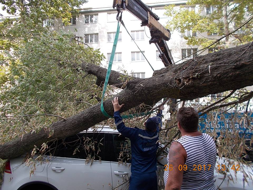 Старе дерево пошкодило авто й перекрило вулицю в історичній частині Херсона (фото)