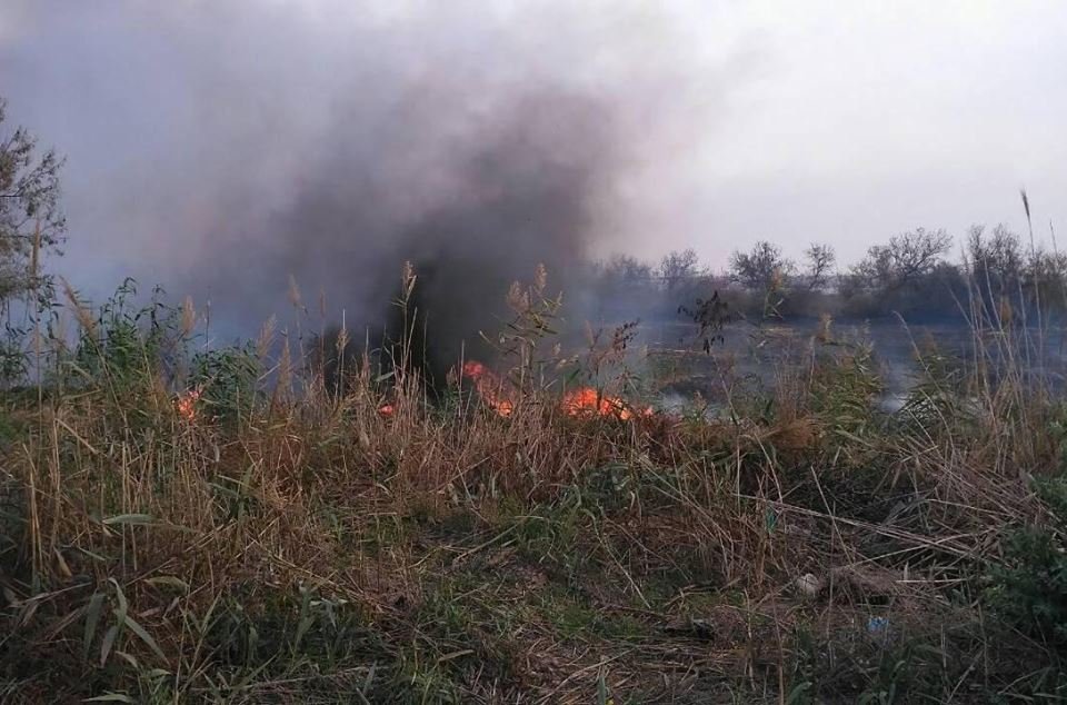 Необережність з вогнем призвела до масштабної пожежі