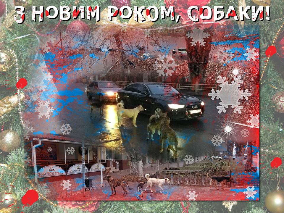 У Херсоні не все так погано, просто, певно, влада міста