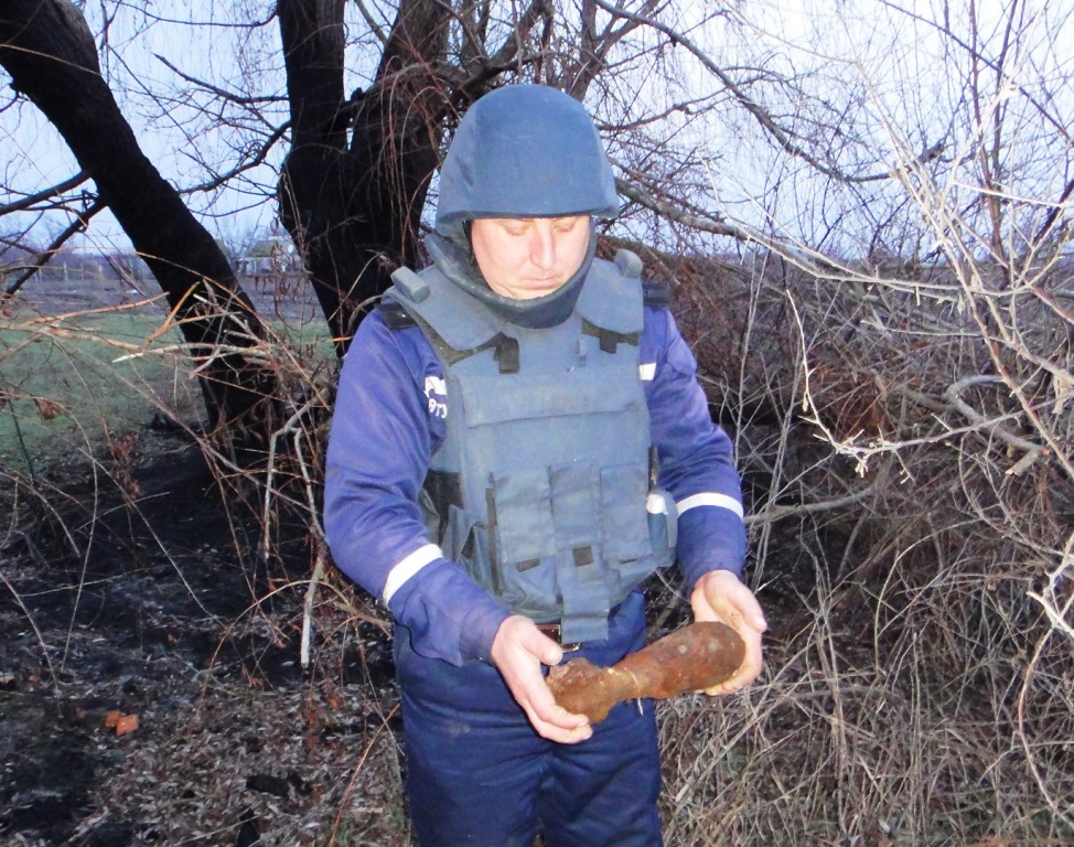 Під Херсоном на дачній ділянці знайдено 2 міни