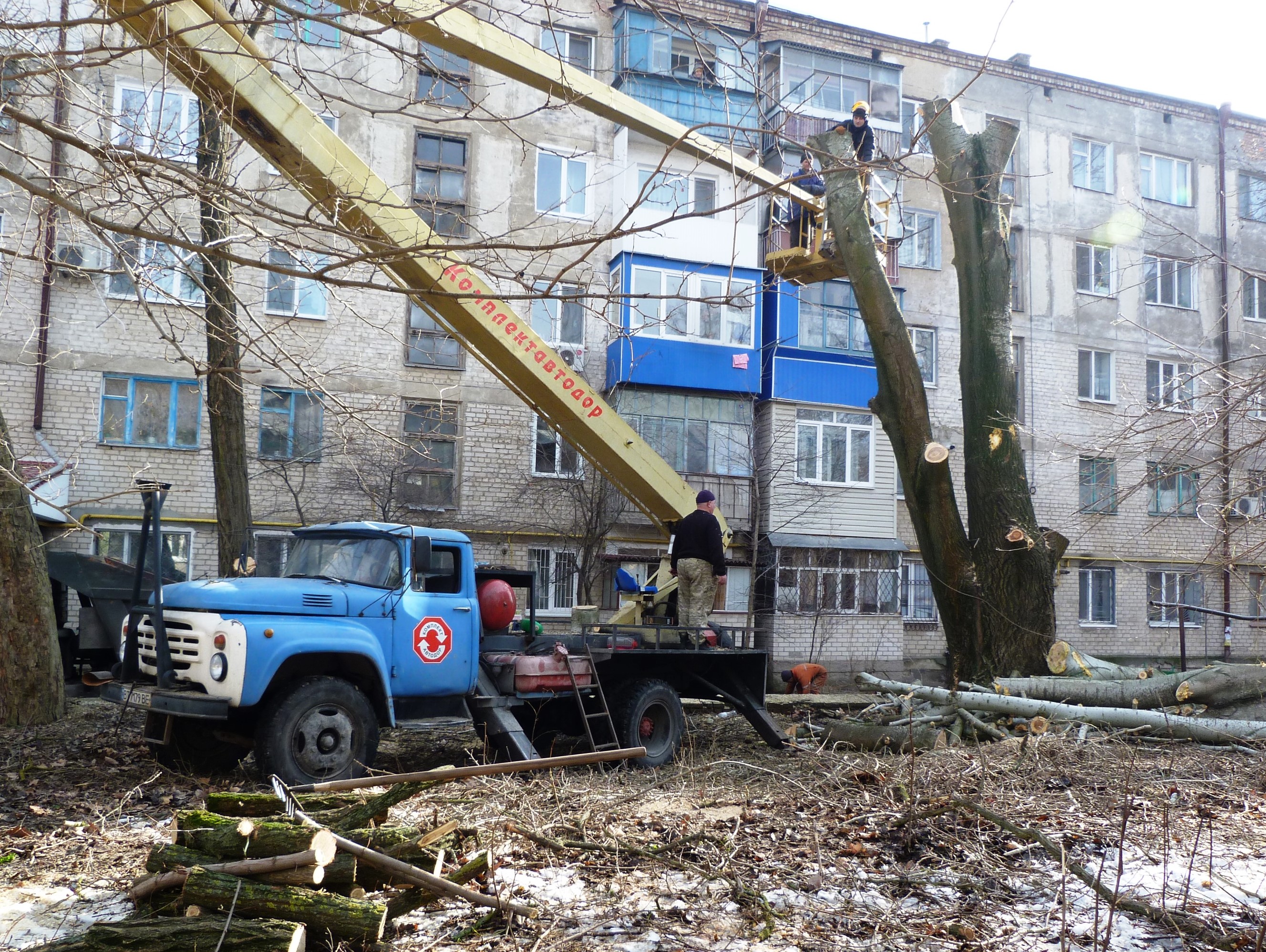 Удаление деревьев в Херсоне приостановлено