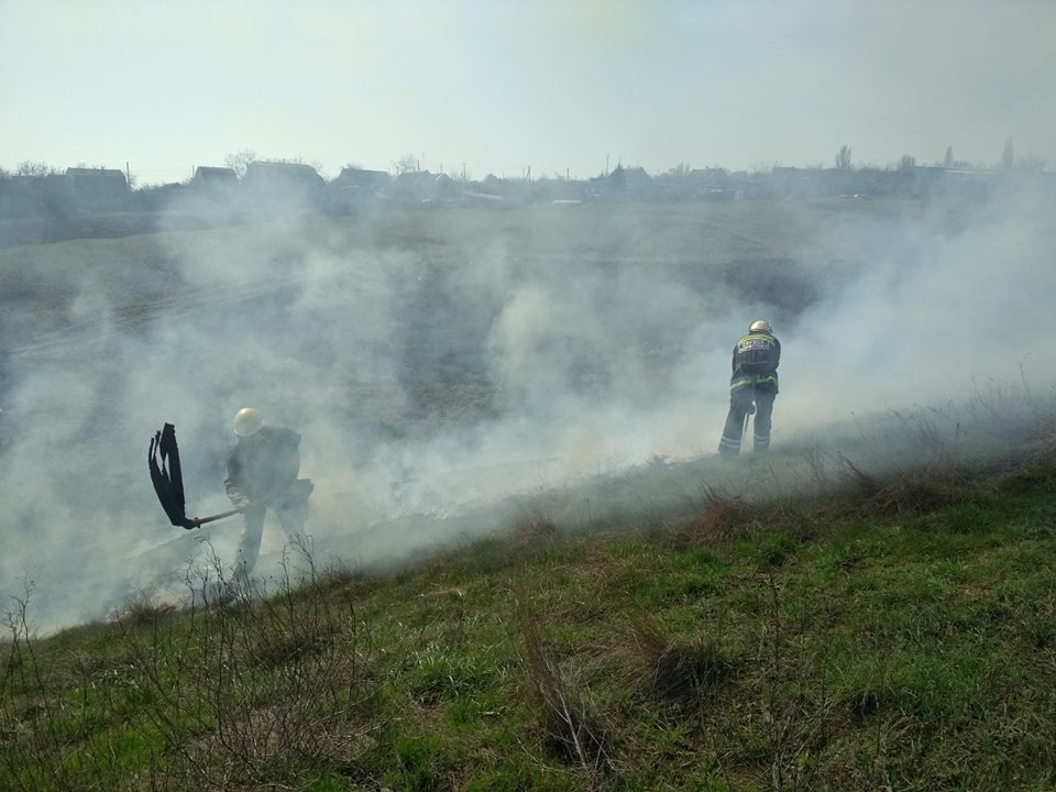 Рятувальники 5 разів виїжджали на гасіння очерету, сухої трави і сміття