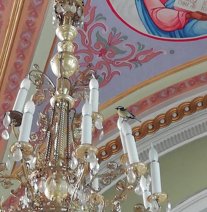 Добра звісточка залетіла сьогодні у херсонський храм святої Олександри
