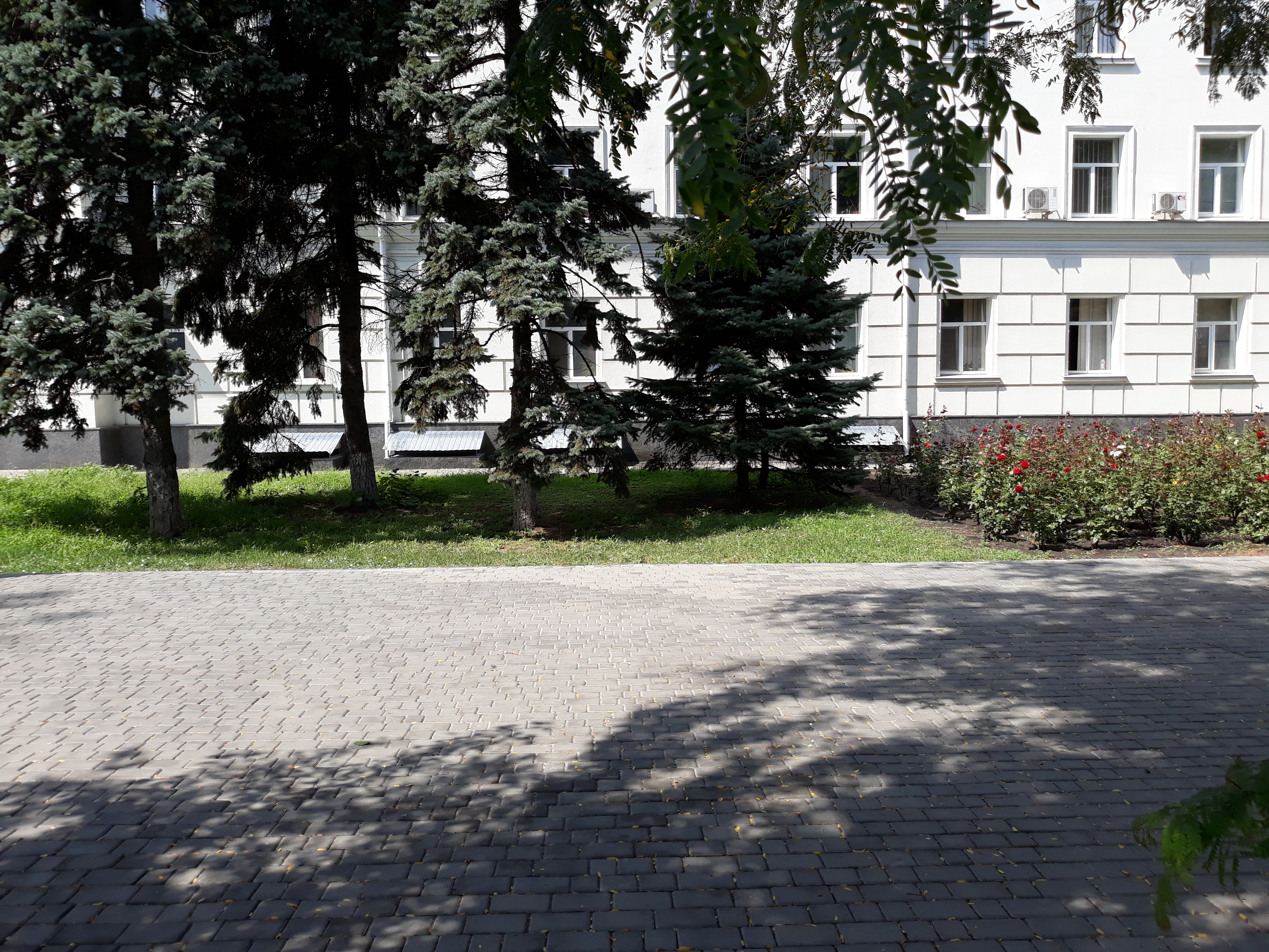 Борьба противоположностей на клумбах в центре Херсона (фотофакт)