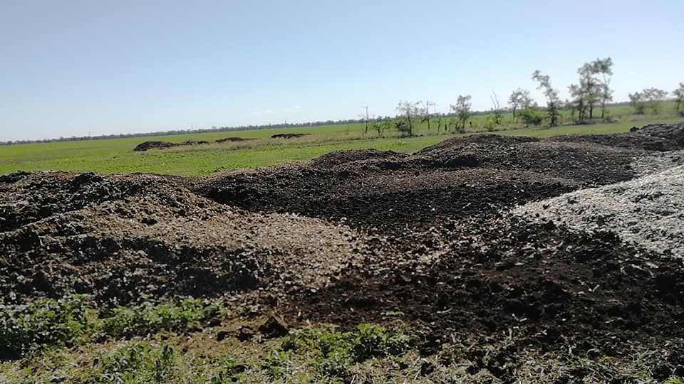 Епіцентр смороду, який накрив Херсон, знайдено (фото)