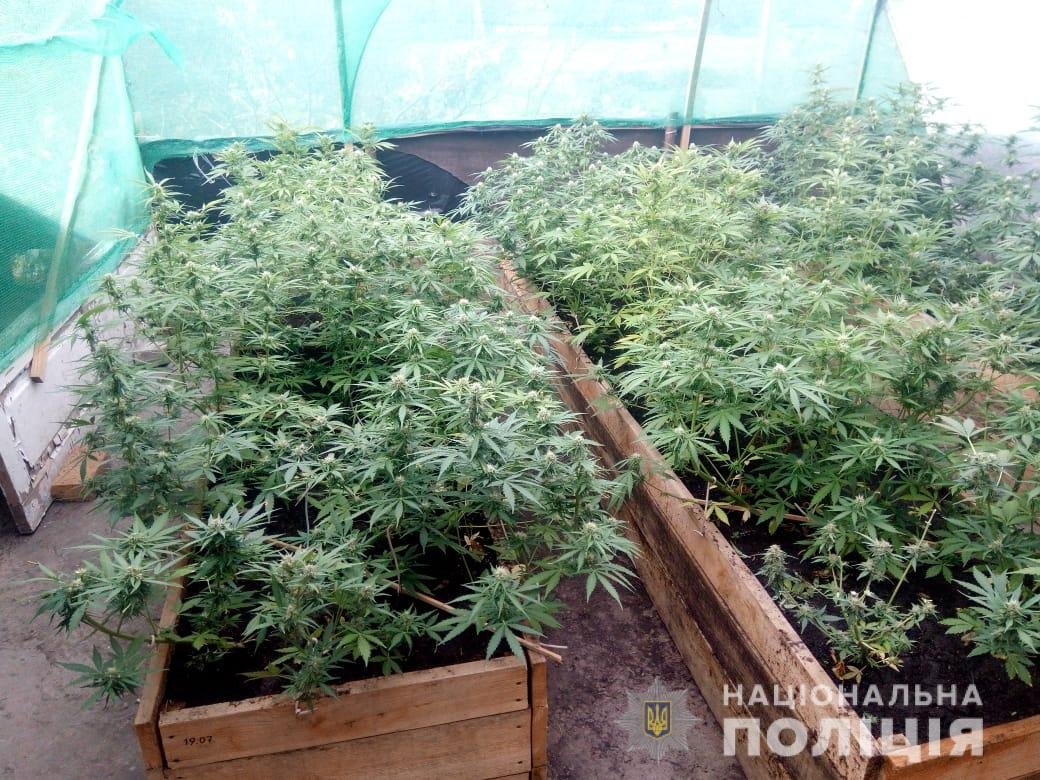 Житель Генічеська 