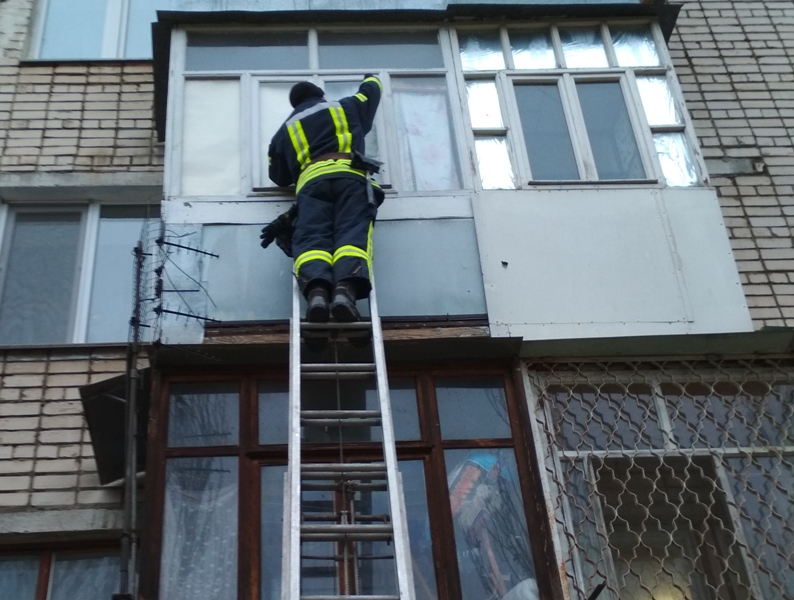 Херсонські рятувальники визволили жінку, яка стала 