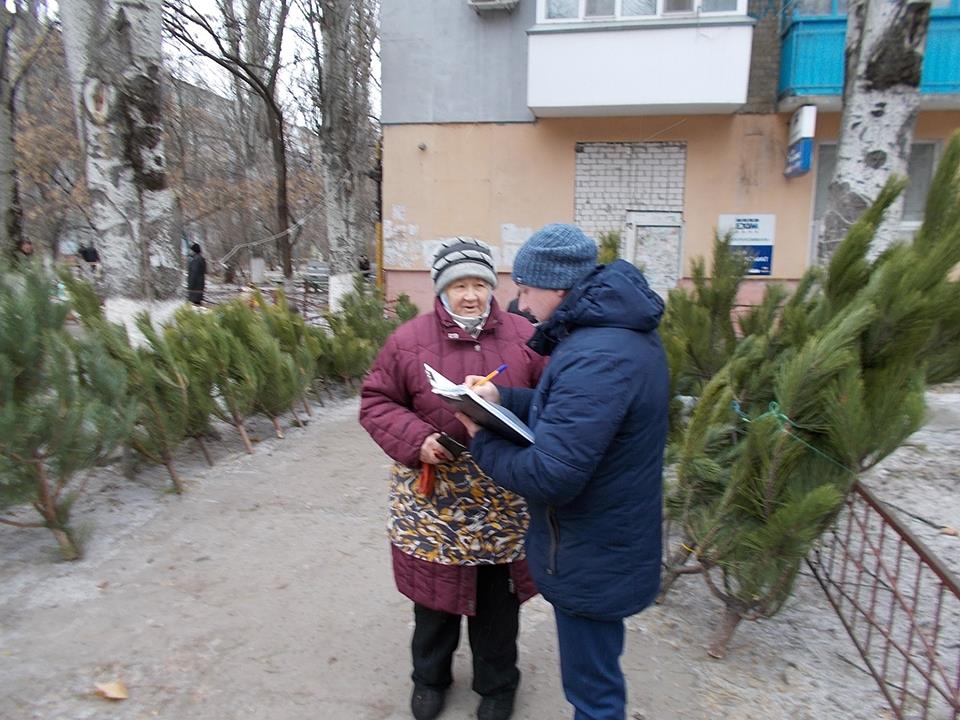 На Херсонщині «знайдено» нечіповані різдвяні красуні (ФОТО)