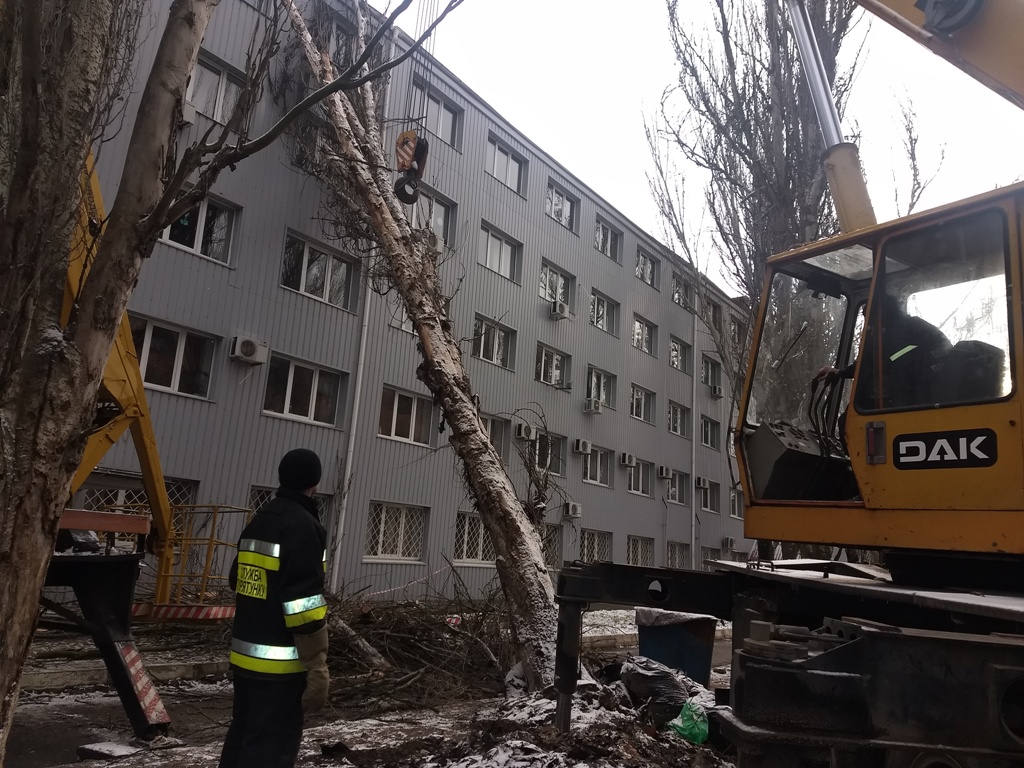 На Херсонщині негоду не витримали 3 дерева: постраждалих немає, аварію ліквідовано