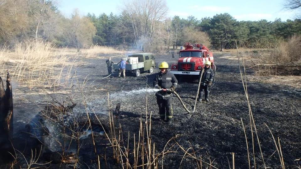 29 березня на території Херсонської області 8 разів горіли суха трава, сміття та очерет.