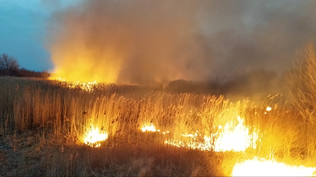 Рятувальникам Херсонщини 1 квітня було не до жартів: в районах зафіксовано 11 пожеж в екосистемах