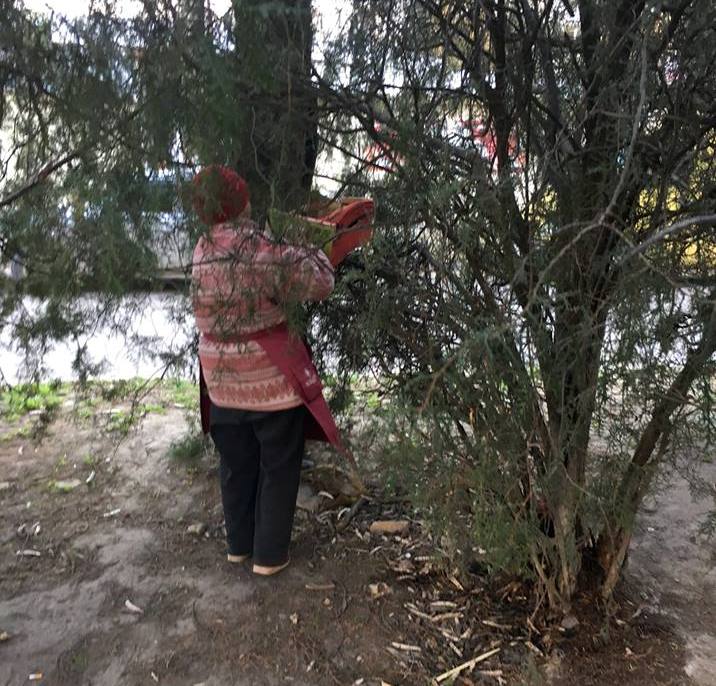 Инспекция по благоустройству застала херсонку во время 