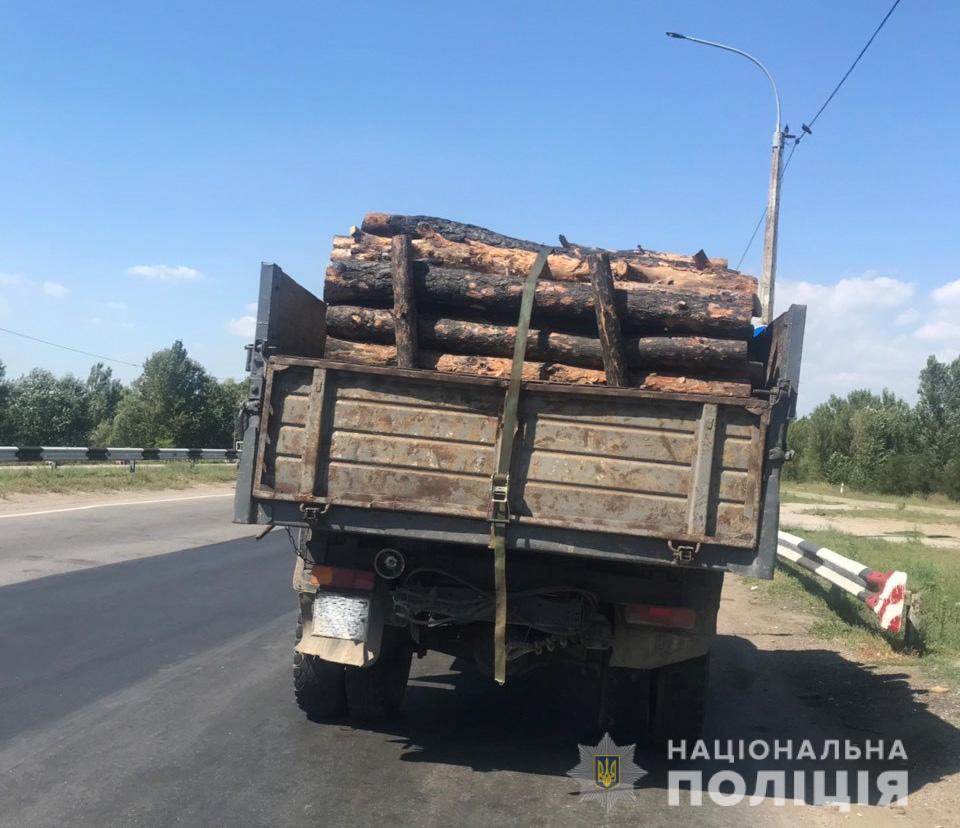 На Херсонщині продовжують незаконно рубати лісонасадження