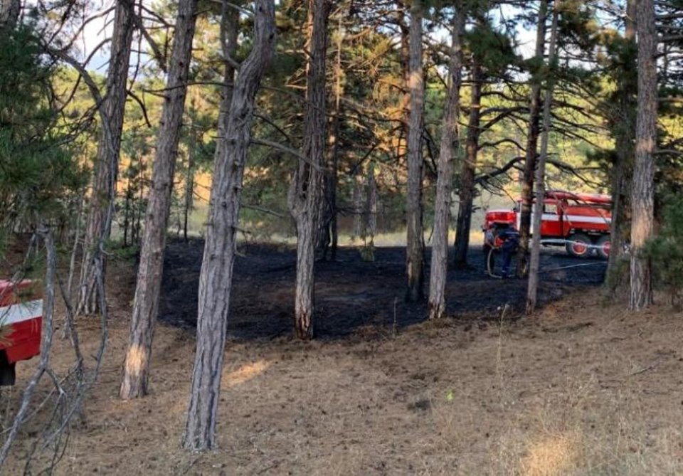 В Олешківському районі знову горів ліс В Олешківському районі знову горів ліс