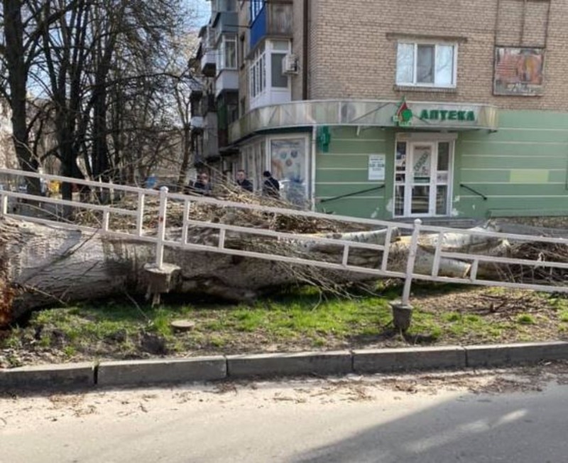 Херсонец, не дождавшись коммунальщиков, убрал упавшее во время урагана дерево