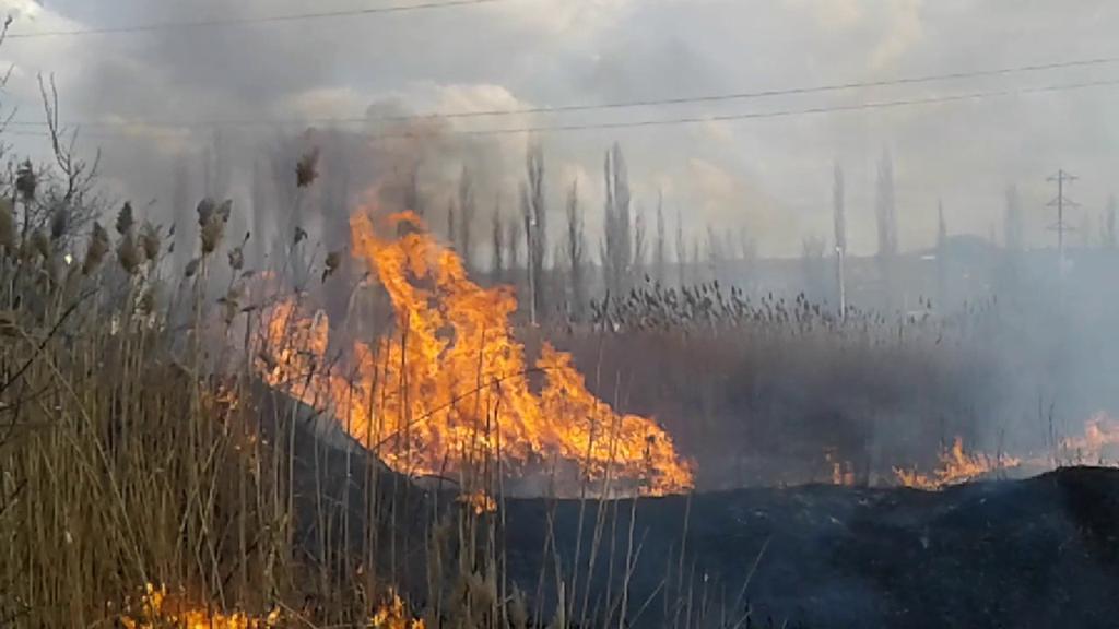 На Херсонщині патрульні затримали підпалювача очерету
