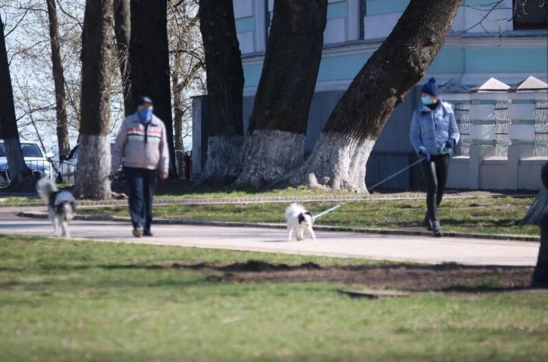 Карантин в Украине планируют продлить больше, чем на месяц