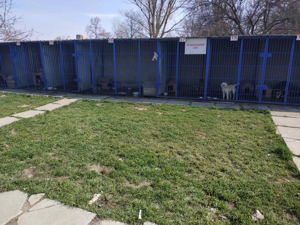 «Брехня»: директор херсонського КП «Гарантія» відповів на інформацію місцевого сайту