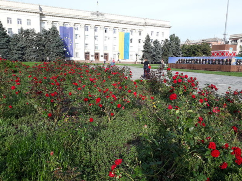 Херсонский мэр в период аномальной жары решил садить в городе цветы