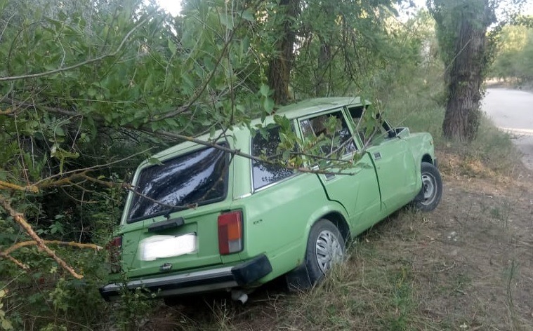 На Херсонщині водій «ВАЗ-2104» зіткнувся з деревом – поліція відкрила кримінальне провадження