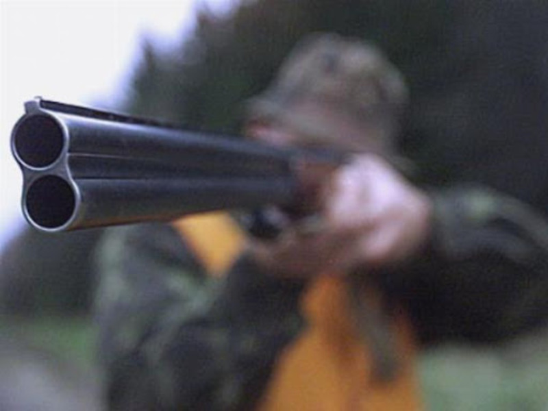 На Херсонщині повідомлено про підозру майстру лісу, який вистрелив у спину чоловіка з рушниці