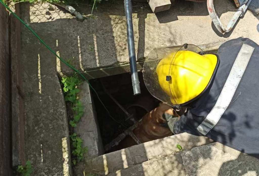 На Херсонщині рятувальники витягували собаку, яка впала у 2-метровий колодязь