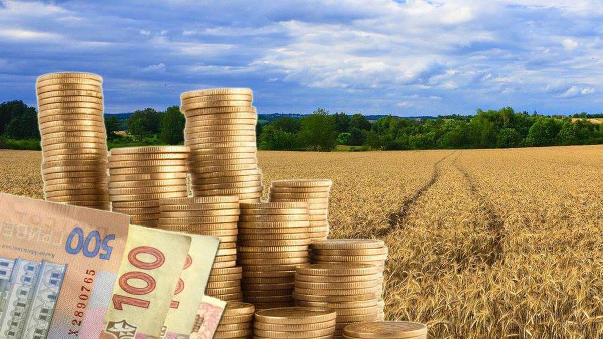 В Україні відкрився ринок сільськогосподарської землі
