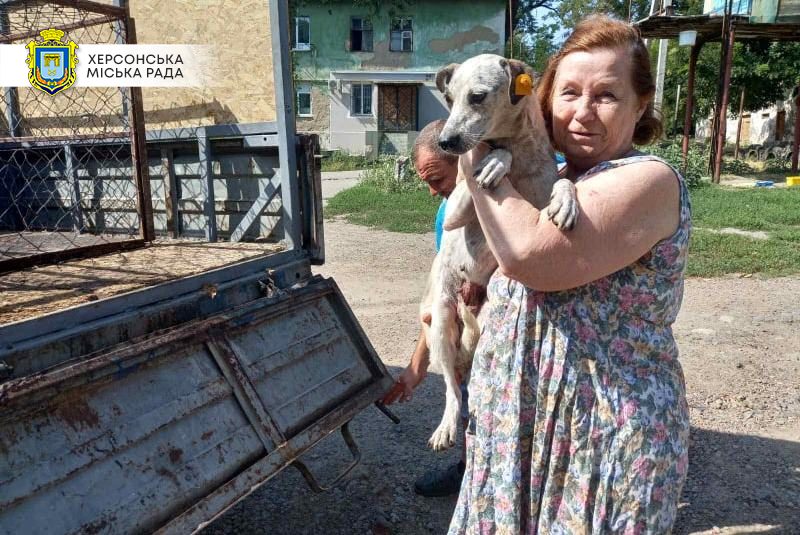 За тиждень 4 песика з херсонського притулку знайшли нові родини