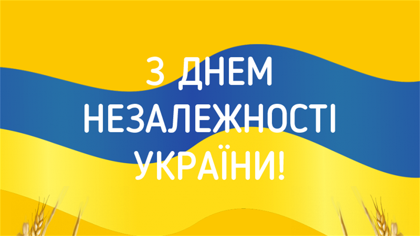 Народний депутат Павло Павліш привітав українців зі святом Незалежності та показав фото параду у Києві