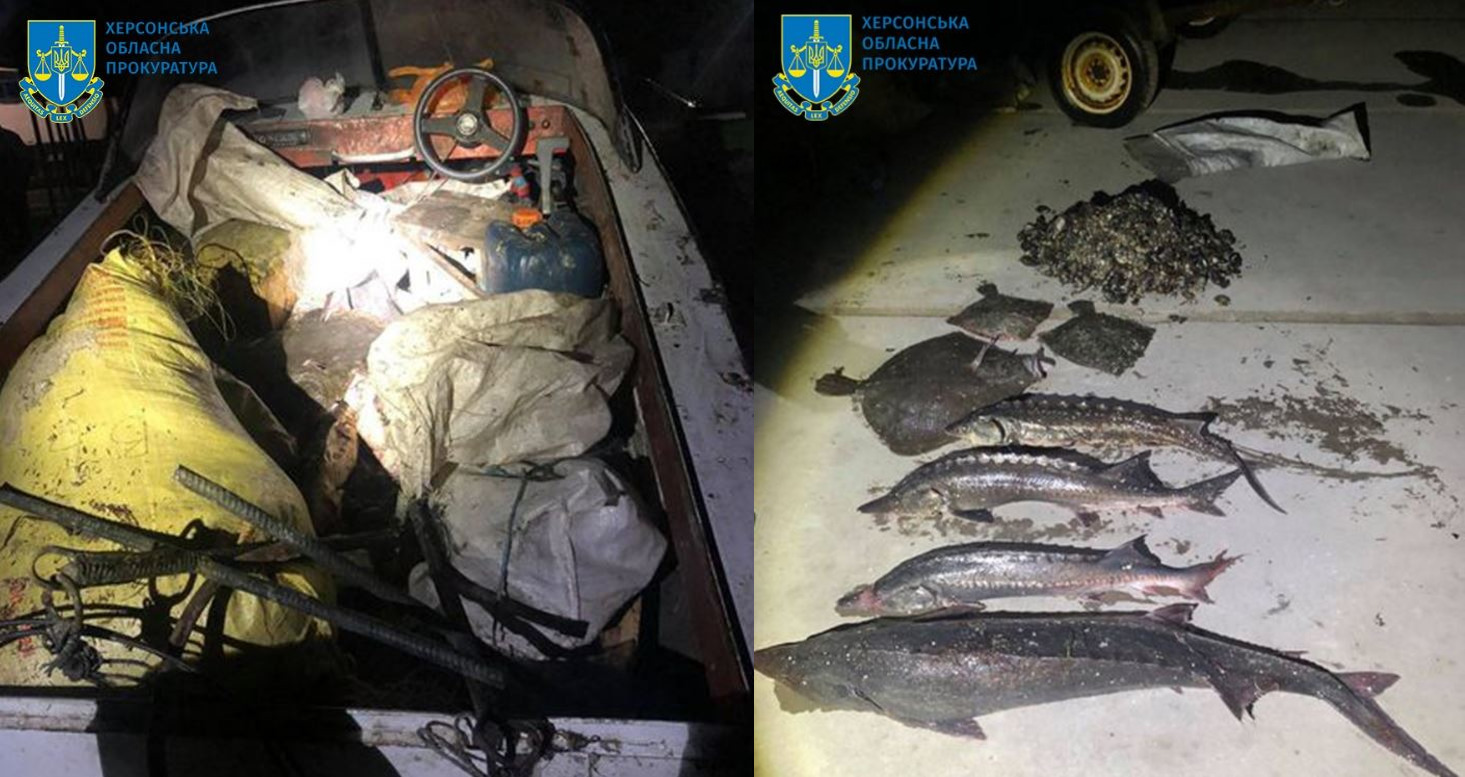 Наловили червонокнижної риби на понад 300 тис. грн – двоє мешканців Херсонщини отримали підозри