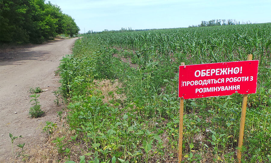 Плата за землю в Херсонській громаді не нараховується