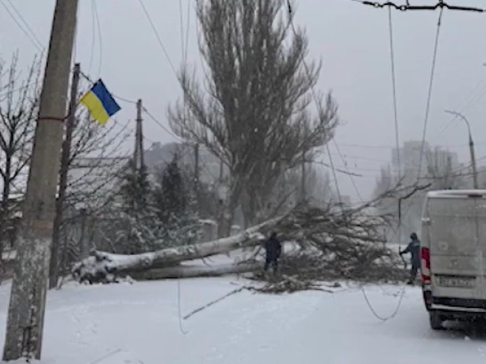 У Херсоні сильний вітер повалив дерева – пошкоджено дроти