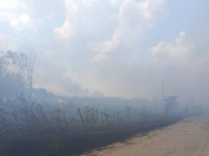 На Херсонщині внаслідок обстрілів знищено більше п'яти тисяч гектарів посівів зернових